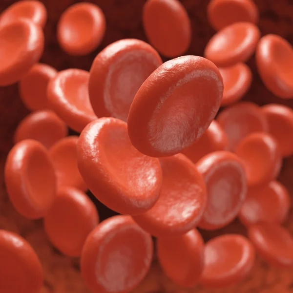 Red Blood Cells — Stock Photo, Image