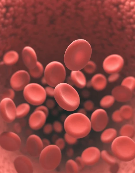 Red Blood Cells — Stock Photo, Image