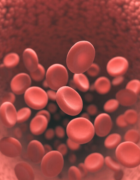 Red Blood Cells