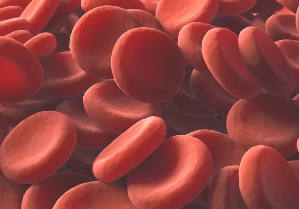 Red Blood Cells — Stock Photo, Image