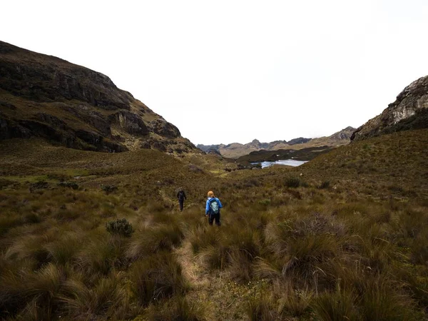 Hikers Hills Tundra Grassland Lakes Landscape Cajas National Park Cuenca — Stock Photo, Image