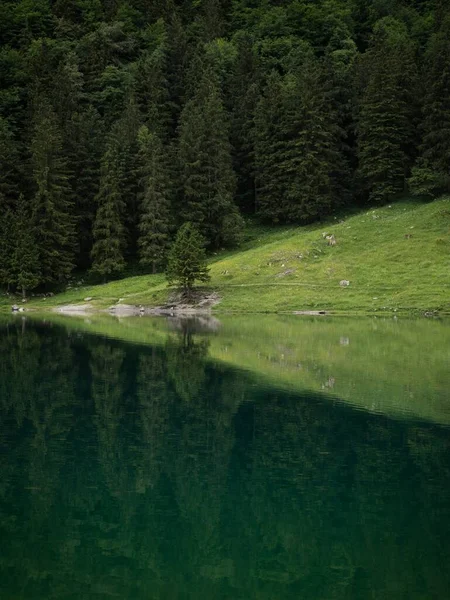 Reflection of alpine lake Seealpsee in Alpstein Appenzell alps Innerrhoden Switzerland — Stock Photo, Image