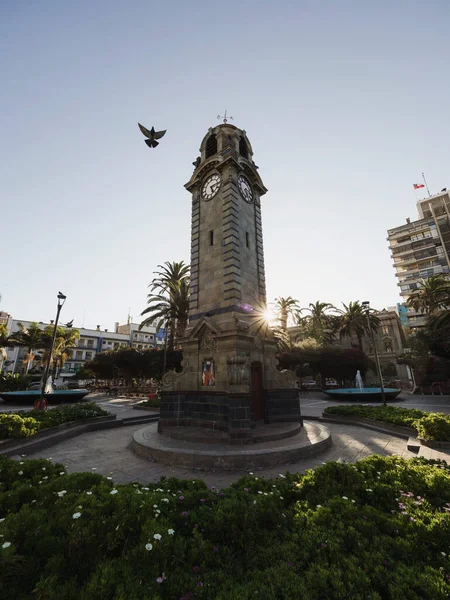 Torre Reloj torre del reloj en plaza central Plaza Colón parque en el centro de Antofagasta Chile —  Fotos de Stock