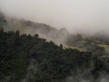 Banos Tungurahua Güney Amerika yakınlarındaki Casa del Arbol ağaç evinde yuvarlanan bulutlarda yeşil çayır ormanı sisi