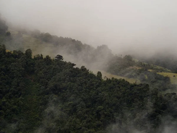 Grönt gräs fält skog i rullande moln dimma på Casa del Arbol trädhus nära Banos Tungurahua Ecuador Sydamerika — Stockfoto