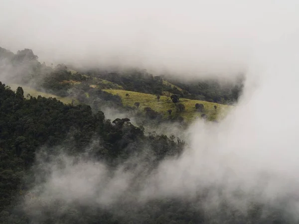 Green grass fields forest in rolling clouds fog at Casa del Arbol treehouse near Banos Tungurahua Ecuador South America — Fotografia de Stock