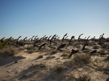 Çapa mezarlığı Cemiterio das Ancoras pas Praia do Barril Ilha de Tavira Santa Luzia Algarve Portekiz yakınlarında