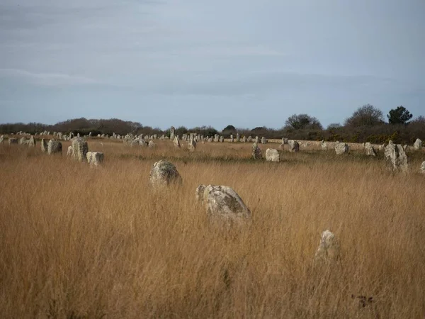 前セラミックカルナック立ち花崗岩の石menhir megalith monolith岩の整列行ブルターニュフランスヨーロッパ — ストック写真