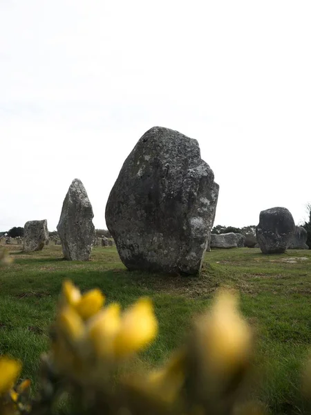 Pre celta Carnac pie granito piedras menhir megalito monolito alineación de roca fila Bretaña Francia Europa — Foto de Stock