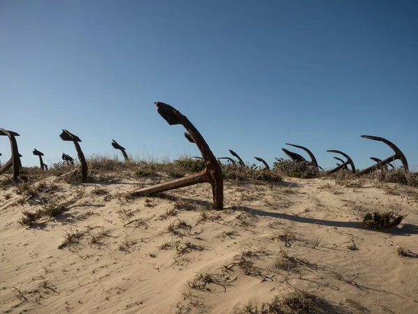 Cementerio de anclaje cementerio Cemiterio das Ancoras óxido en Praia do Barril Ilha de Tavira cerca de Santa Luzia Algarve Portugal — Foto de Stock