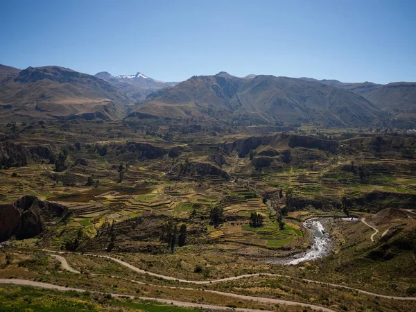 Panoramic view of pre inca stepped terraces anden farming agriculture in Colca Canyon valley Arequipa andes Peru — Stock Photo, Image