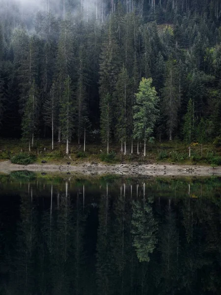 Flims Grisons Graubunden Switzerland Europe附近清澈的瑞士高山湖Caumasee Lag Cauma Lai Cauma树的倒影 — 图库照片