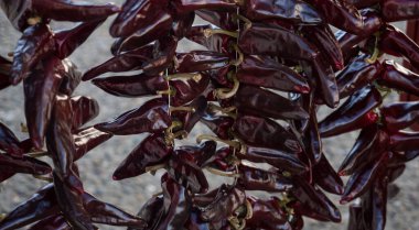 Espelette kırmızı biber biberi yıllık kırmızı biber yemeği güneş ışığında kurutulan kırmızı biber Ezpeleta Baigura et Mondarrain, Bayonne Fransız Bask ülkesi Pireneler Atlantik Yeni Aquitaine Fransa Avrupa