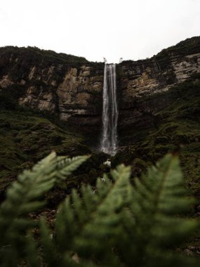 Peru ve Güney Amerika 'daki Chachapoyas yakınlarında Bongara Amazonas' taki Catarata del Gocta şelalesinin panoramik manzarası.