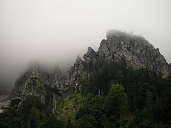 Alpit vuoret panoraama riippusillalla Klausbachtal Berchtesgaden kansallispuisto Ramsau Baijerin lähellä Saksa Alpit — kuvapankkivalokuva