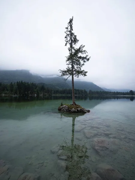 Árvore ilha reflexão em alpino montanha lago Hintersee nublado humor Ramsau Berchtesgadener Terra Baviera Alemanha — Fotografia de Stock