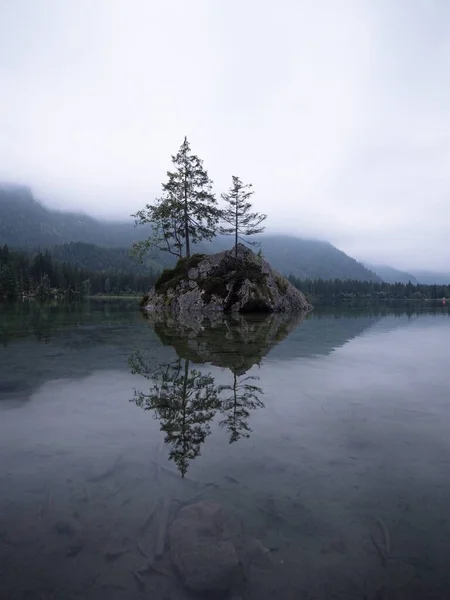 Bauminsel-Reflexion im alpinen Bergsee Hintersee trübe Stimmung Ramsau Berchtesgadener Land Bayern Deutschland — Stockfoto