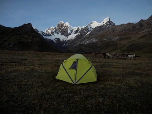 Tienda aislada con burros mula idílica montaña camping panorama Cordillera Huayhuash Circuito Ancash Huanuco Perú andes — Foto de Stock