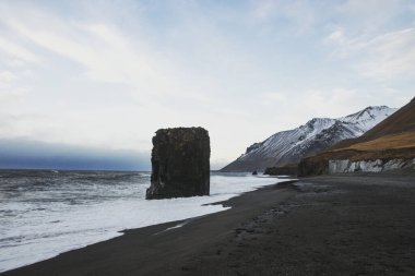 Laekjavik plaj oluşumunun panoraması deniz yığınları kara kum atlantik okyanus kıyısı kulesi doğu fiyortları İzlanda Avrupa