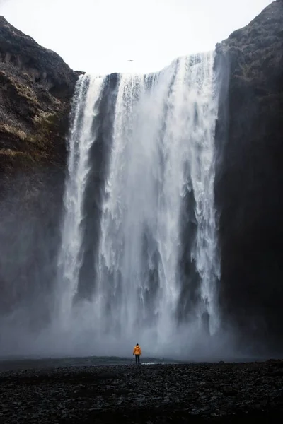Жовта куртка турист на відомому широкому крутому водоспаді Скегафос Скега річка біля Скогара Південна Ісландія Європа — стокове фото