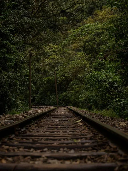 Chemins de fer dans la jungle verdoyante forêt tropicale paysage naturel Hidroelectrica à Aguas Calientes Macchu Picchu Pérou — Photo