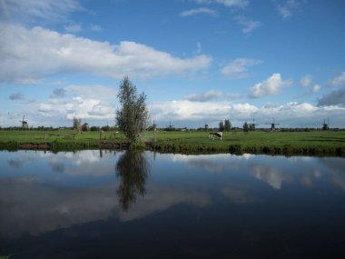 Güney Hollanda 'da Kinderdijk Molenlanden' deki eski tarihi yel değirmenlerinde Panorama çiftliği inek tarlası yansıması