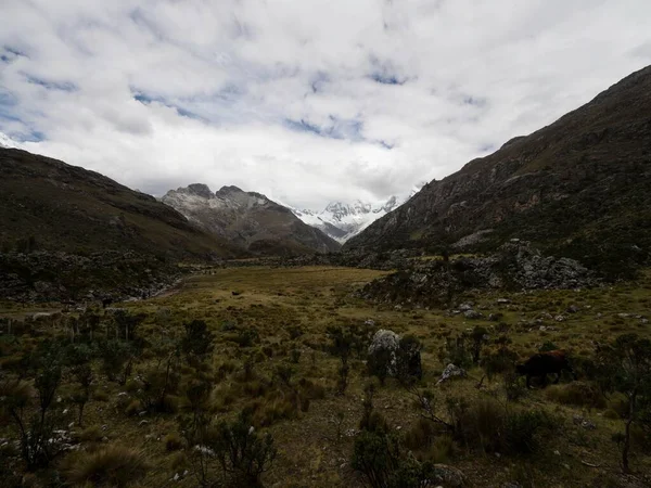 Panoráma kilátás andeai hegyvidéki táj völgy közelében Laguna 69 Cordillera Blanca Cebollapampa Huaraz Ancash Peru — Stock Fotó