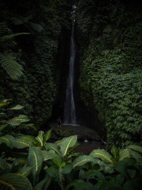Tropikal yağmur ormanları yemyeşil ormanları besliyor. Baturiti 'deki Terjun Leke Leke Şelalesi Tabanan Bali Endonezya Asya' da.