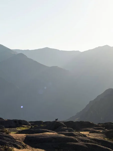 Marcahuasi Andes高原岩石形成山脉山谷自然景观犬全景秘鲁利马南美洲 — 图库照片