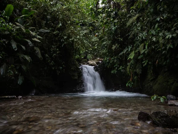 Panoramablick auf den Cascada Ondinas Wasserfall im tropischen Regennebelwald des Mindo-Tals Dschungel Nambillo Ecuador — Stockfoto