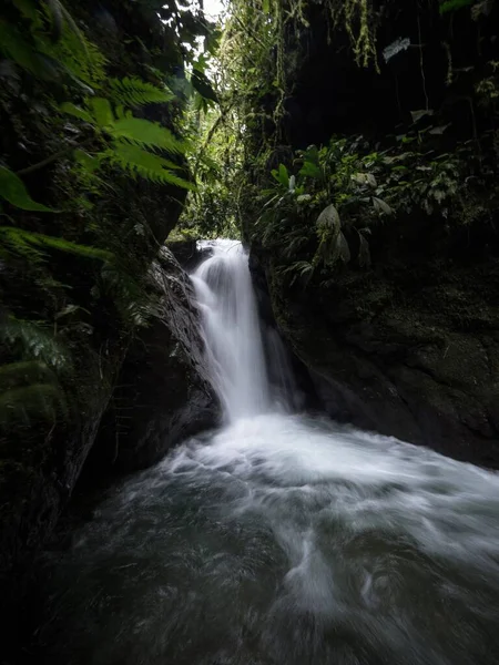 Panoramablick auf den Wasserfall Cascada Colibries im tropischen Regennebelwald des Mindo-Tals Dschungel Nambillo Ecuador — Stockfoto