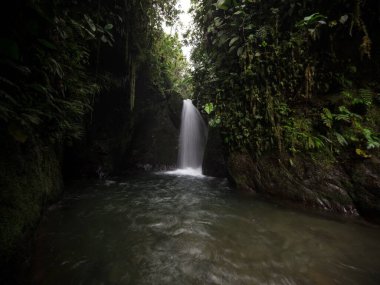 Cascada Guarumos şelalesinin tropikal yağmur bulutları Mindo vadisi ormanındaki manzarası Nambillo Ekvador And Dağları