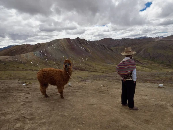 Hombre en ropa indígena andina tradicional senderismo con alpaca en colorido Palccoyo arcoíris montaña Palcoyo Cuzco Perú — Foto de Stock