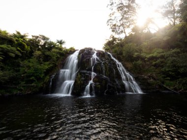 Tropikal şelale şelalesi Owharoa Şelalesi Karangahake Vadisi Waikato Kuzey Adası Yeni Zelanda 'ya düşüyor.