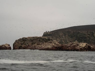 Islas Ballestas Adaları Pasifik kaya oluşumu Perulu bubi karabatakları deniz canlısı Paracas Peru Güney Amerika