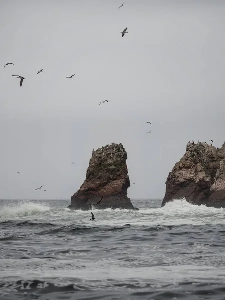 Islas Ballestas Islas pacíficas formación rocosa peruana cormoranes booby aves fauna marina Paracas Perú América del Sur — Foto de Stock