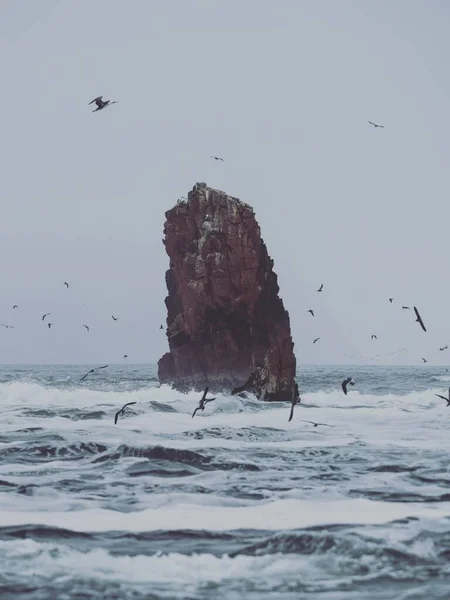 Islas Ballestas Islas pacíficas formación rocosa peruana cormoranes booby aves fauna marina Paracas Perú América del Sur — Foto de Stock