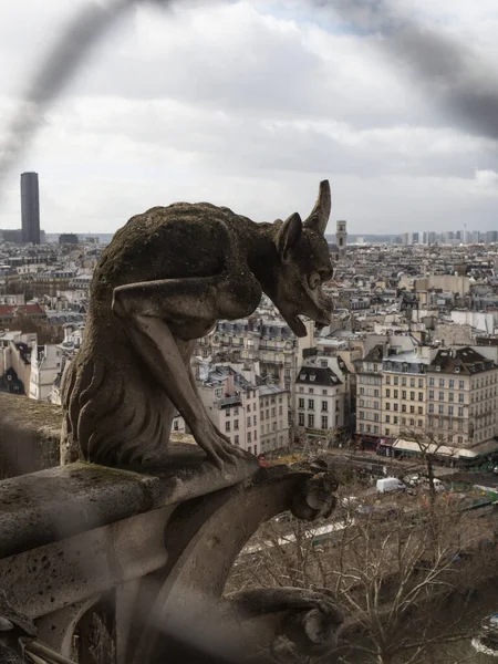 Estatua de la figura mítica de la gárgola de Quimera escultura arquitectura gótica en la torre de la iglesia catedral de Notre Dame París Francia — Foto de Stock