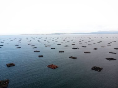 O Grove Ria de Arousa Galiçia İspanya 'da midye çiftliği platformlarının hava manzarası balıkçılık endüstrisi su ürünleri üretimi