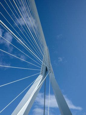 Hollanda 'nın güneyinde Rotterdam' da Nieuwe Maas nehri üzerinde Erasmusbrug beyaz kablolu mimari köprüsü