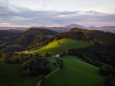 Aşağı Avusturya 'nın Scheibbs kentindeki Blassenstein' da Urlingerwarte tepelerinde yeşil çayır çayırlarının kırsal alan manzarası Avrupa 'yı kaplıyor.