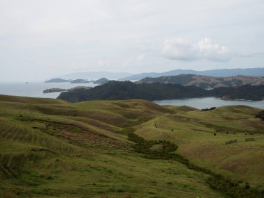 Panorama view of green grass rolling hills of Coromandel Peninsula islands bay from Manaia Saddle Lookout State Highway 25 SH25 viewpoint Kereta Waikato, North Island New Zealand Oceania