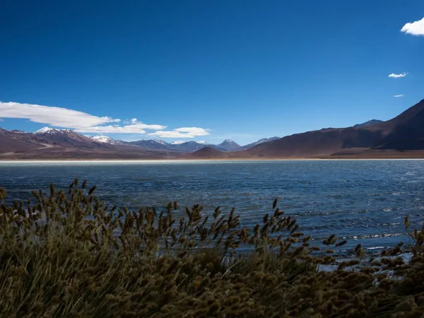 Panorama Del Altiplano Andino Laguna Blanca Lago Verde Parque Nacional — Foto de Stock