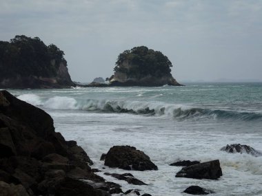 Pasifik Okyanusu kıyısı kıyı kaya oluşumları Hauraki Coromandel yarımadasındaki Whiritoa kumsal Yeni Zelanda Kuzey Adası Waikato Yeni Zelanda
