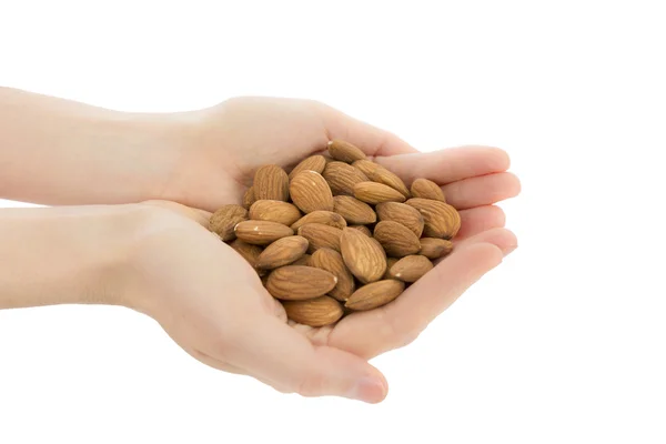 Amandes Images De Stock Libres De Droits