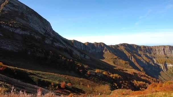 山の景色のカラフルなパノラマは秋に黄金です 鮮やかな青空を背景に山の中の秋の森の美しい風景 — ストック動画