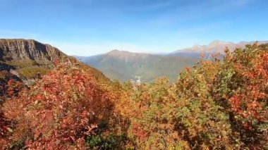 Dağ manzarasının renkli manzarası sonbaharda altındır. Dağlardaki sonbahar ormanlarının güzel manzarası parlak mavi bir gökyüzünün arka planına karşı