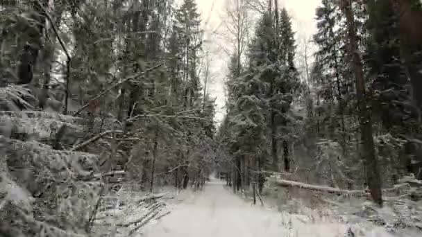 Jazda Samochodem Pięknej Zimowej Leśnej Drodze Suv Toruje Sobie Drogę — Wideo stockowe