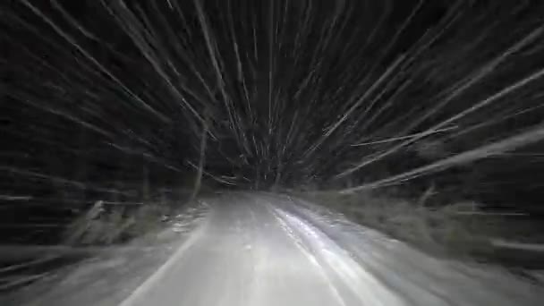 Vezetni Autóval Éjjel Egy Téli Erdei Úton Hóesésben Erős Tükröződik — Stock videók