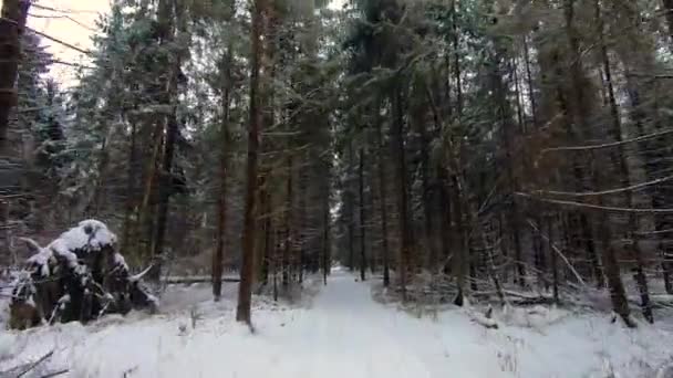 Jazda Samochodem Pięknej Zimowej Leśnej Drodze Suv Toruje Sobie Drogę — Wideo stockowe